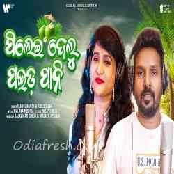 Pilei Delu Paida Pani